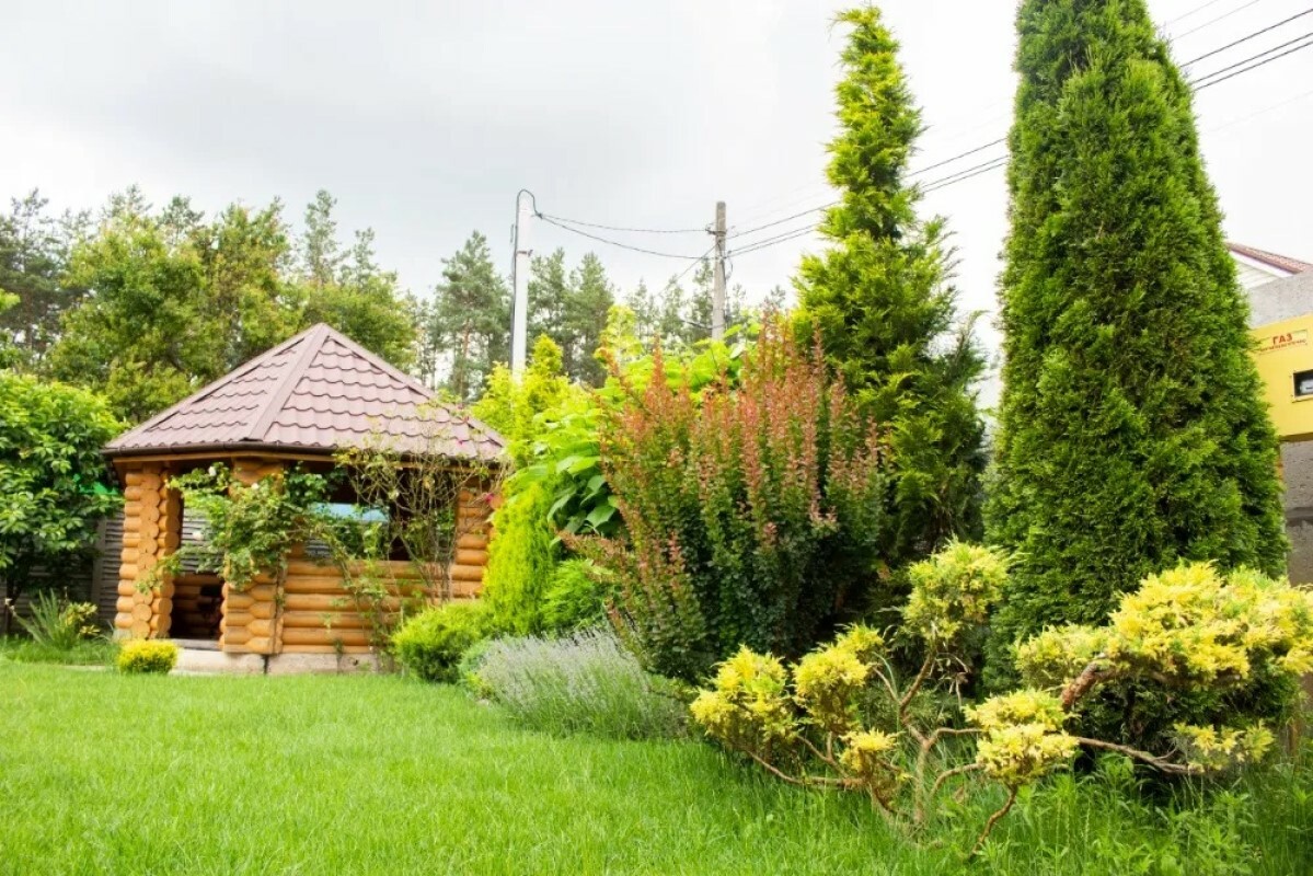 https://kolomna.tgv-stroy.ru/storage/app/uploads/public/637/ef4/fb3/637ef4fb3605f391429275.png